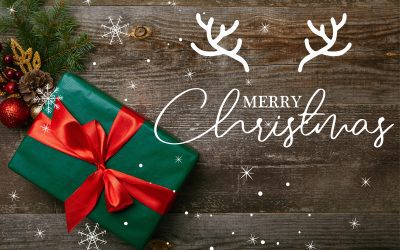 Merry Christmas From Millennium Cargo